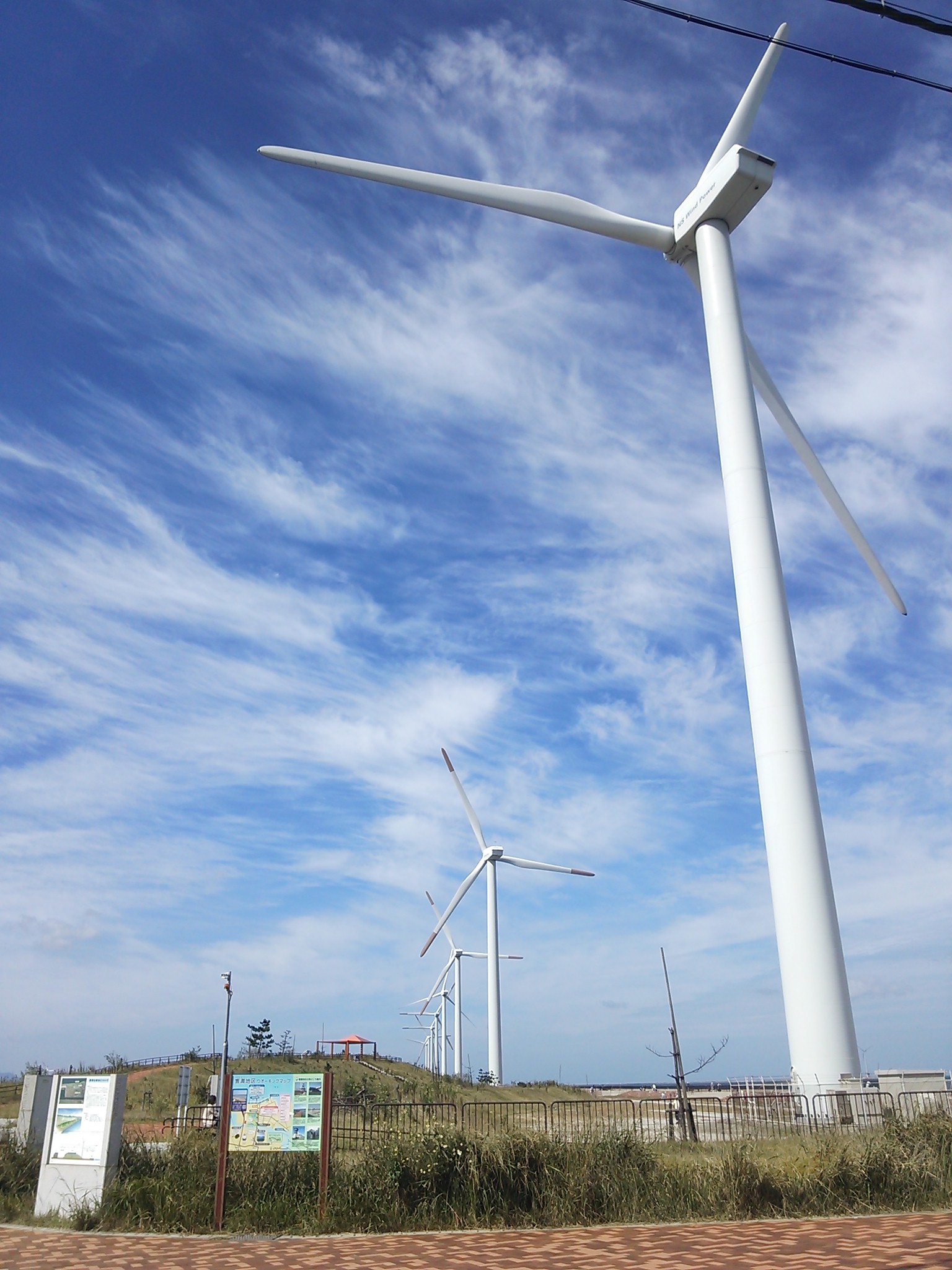 ウォーキング 2021年