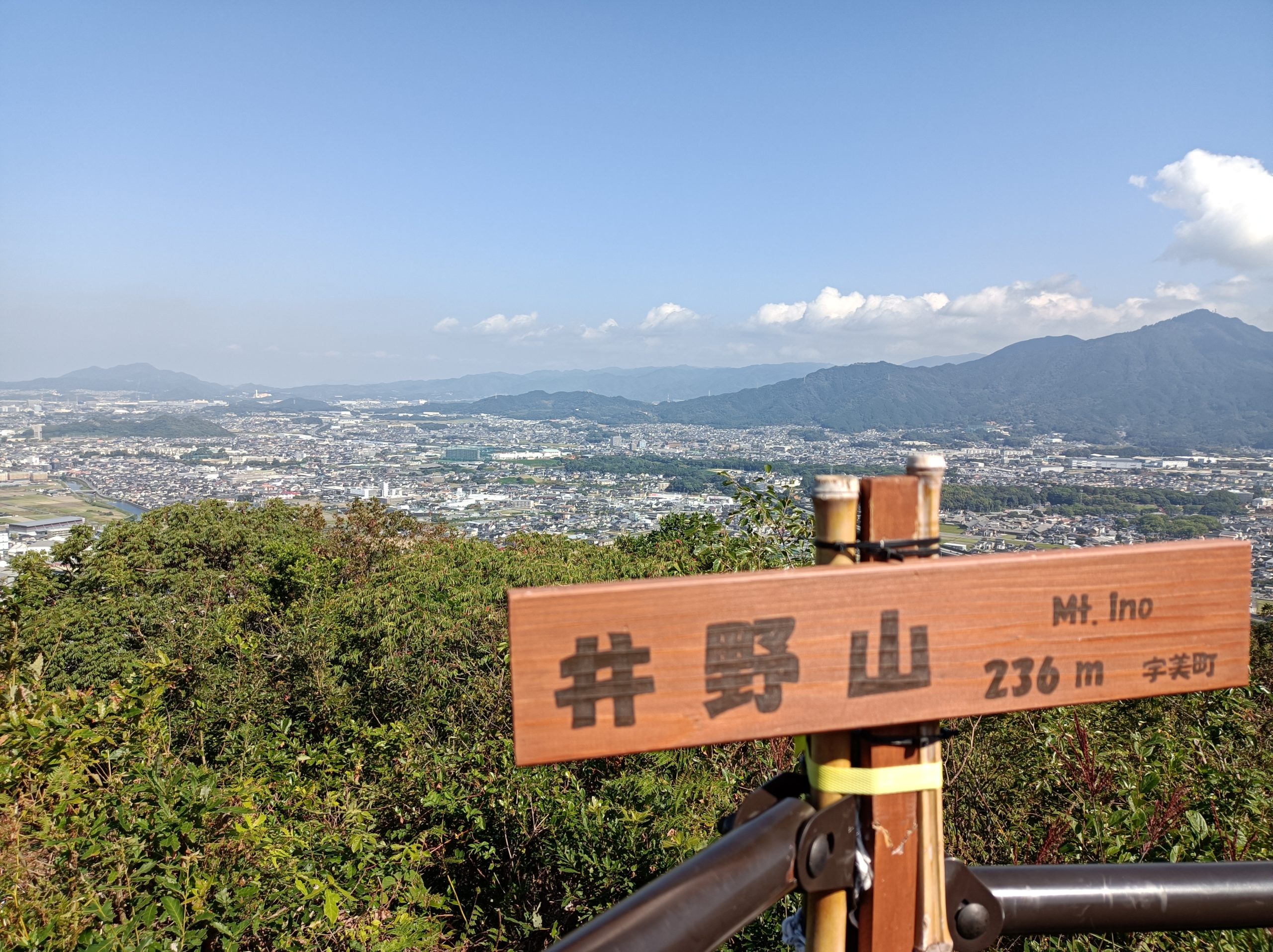 ウォーキング 2022年