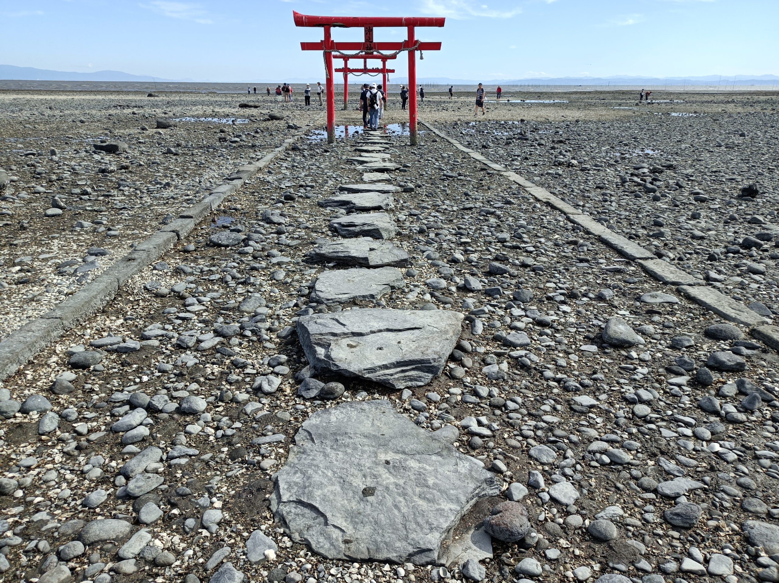 ウォーキング 2023年